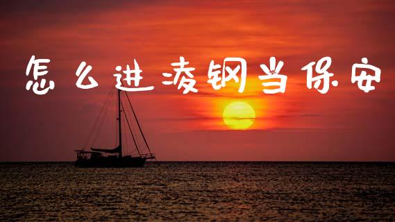 怎么进凌钢当保安_https://cj001.lansai.wang_股市问答_第1张