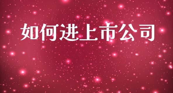 如何进上市公司_https://cj001.lansai.wang_财经问答_第1张