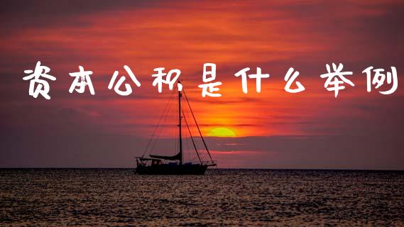 资本公积是什么举例_https://cj001.lansai.wang_会计问答_第1张