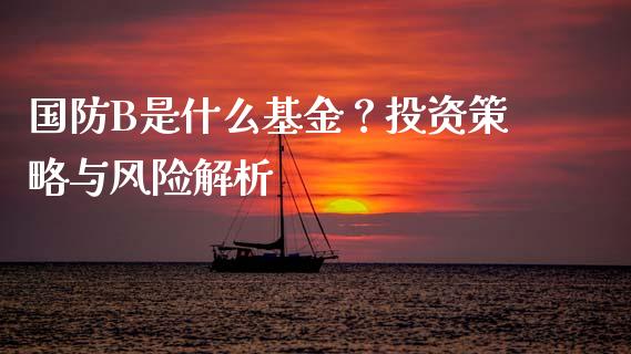 国防B是什么基金？投资策略与风险解析_https://cj001.lansai.wang_理财问答_第1张