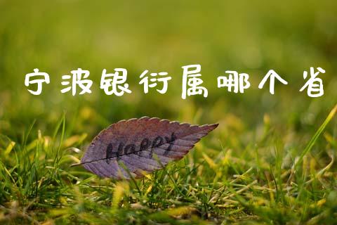 宁波银衍属哪个省_https://cj001.lansai.wang_股市问答_第1张