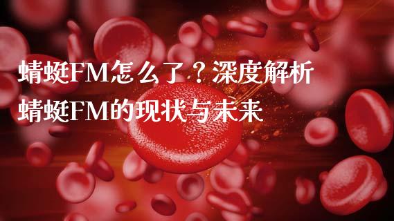 蜻蜓FM怎么了？深度解析蜻蜓FM的现状与未来_https://cj001.lansai.wang_理财问答_第1张