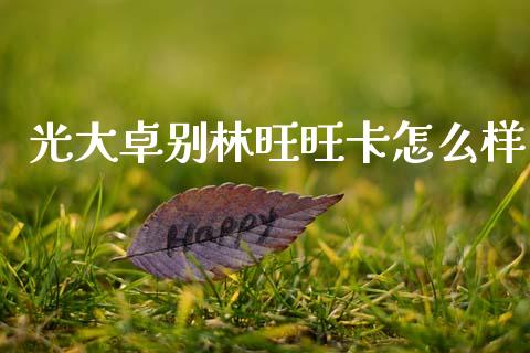 光大卓别林旺旺卡怎么样_https://cj001.lansai.wang_金融问答_第1张