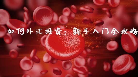 如何外汇投资：新手入门全攻略_https://cj001.lansai.wang_金融问答_第1张