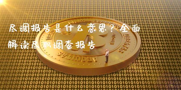 尽调报告是什么意思?全面解读尽职调查报告_理财问答_第1张_财经百问网 尽调报告是什么意思?全面解读尽职调查报告_https://cj001.lansai.wang_理财问答_第1张