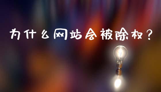 为什么网站会被除权？_https://cj001.lansai.wang_股市问答_第1张