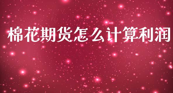 棉花期货怎么计算利润_https://cj001.lansai.wang_财经百问_第1张