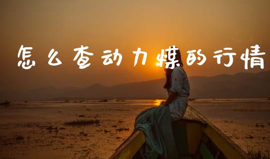 怎么查动力煤的行情_https://cj001.lansai.wang_会计问答_第1张