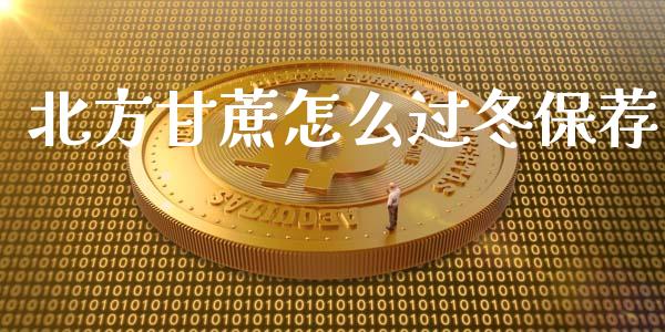 北方甘蔗怎么过冬保荐_https://cj001.lansai.wang_财经百问_第1张