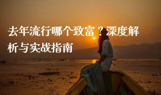 去年流行哪个致富？深度解析与实战指南_https://cj001.lansai.wang_期货问答_第1张