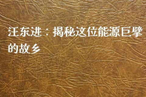 汪东进：揭秘这位能源巨擘的故乡_https://cj001.lansai.wang_会计问答_第1张
