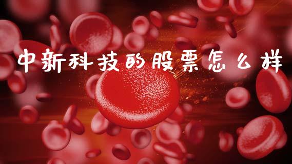 中新科技的股票怎么样_https://cj001.lansai.wang_股市问答_第1张
