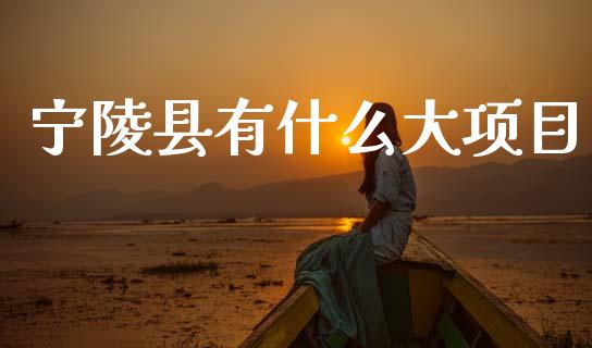 宁陵县有什么大项目_https://cj001.lansai.wang_理财问答_第1张
