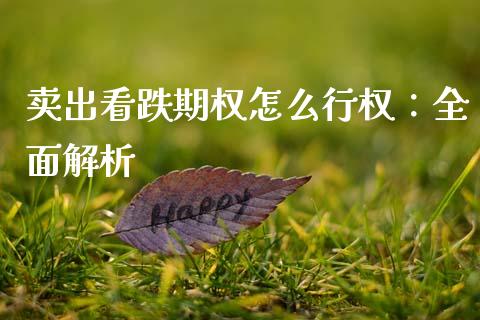 卖出看跌期权怎么行权：全面解析_https://cj001.lansai.wang_股市问答_第1张