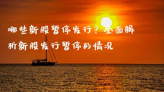 哪些新股暂停发行？全面解析新股发行暂停的情况_https://cj001.lansai.wang_股市问答_第1张