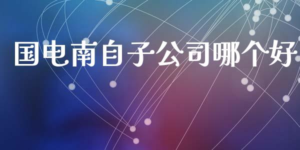 国电南自子公司哪个好_https://cj001.lansai.wang_期货问答_第1张