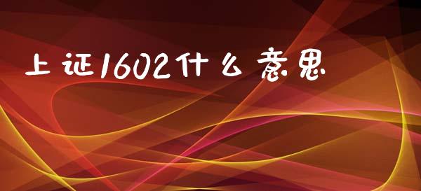 上证1602什么意思_https://cj001.lansai.wang_股市问答_第1张