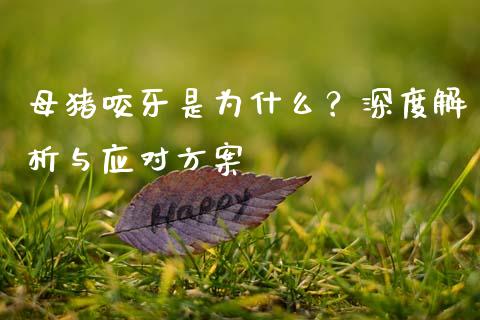 母猪咬牙是为什么?深度解析与应对方案_会计问答_第1张_财经百问网 母猪咬牙是为什么?深度解析与应对方案_https://cj001.lansai.wang_会计问答_第1张