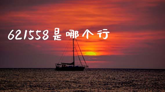 621558是哪个行_https://cj001.lansai.wang_理财问答_第1张