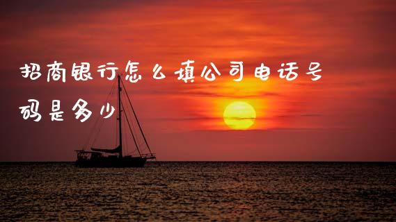 招商银行怎么填公司电话号码是多少_https://cj001.lansai.wang_金融问答_第1张