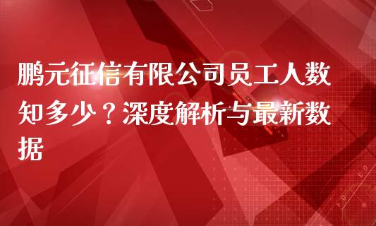 鹏元征信有限公司员工人数知多少？深度解析与最新数据_https://cj001.lansai.wang_期货问答_第1张