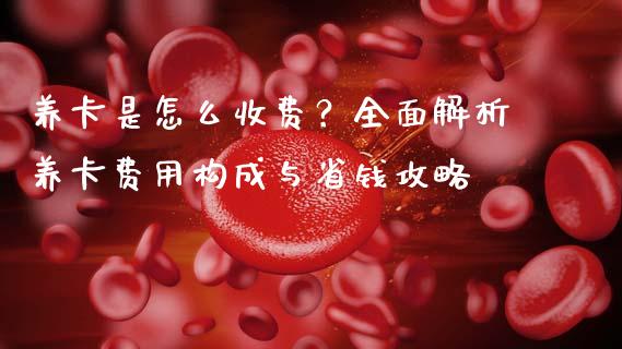 养卡是怎么收费？全面解析养卡费用构成与省钱攻略_https://cj001.lansai.wang_财经问答_第1张