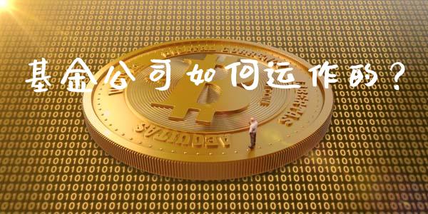 基金公司如何运作的？_https://cj001.lansai.wang_理财问答_第1张