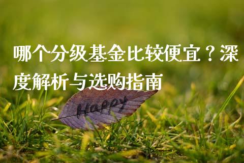 哪个分级基金比较便宜？深度解析与选购指南_https://cj001.lansai.wang_股市问答_第1张