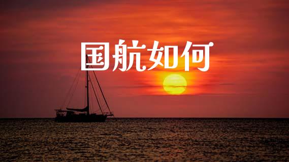 国航如何_https://cj001.lansai.wang_理财问答_第1张