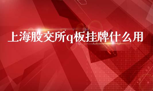 上海股交所q板挂牌什么用_https://cj001.lansai.wang_财经问答_第1张