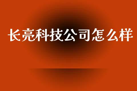 长亮科技公司怎么样_https://cj001.lansai.wang_理财问答_第1张