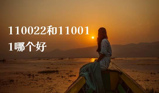110022和110011哪个好_https://cj001.lansai.wang_股市问答_第1张