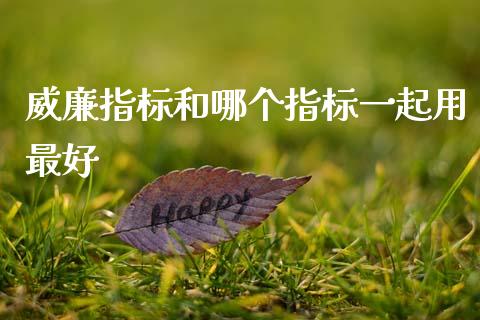 威廉指标和哪个指标一起用最好_https://cj001.lansai.wang_财经问答_第1张