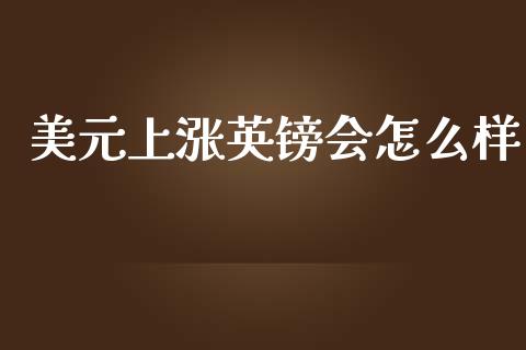 美元上涨英镑会怎么样_https://cj001.lansai.wang_期货问答_第1张
