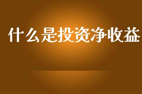 什么是投资净收益_https://cj001.lansai.wang_会计问答_第1张