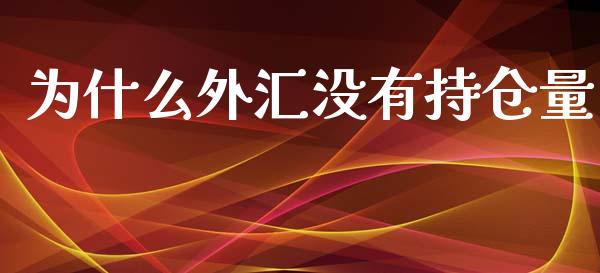 为什么外汇没有持仓量_https://cj001.lansai.wang_理财问答_第1张