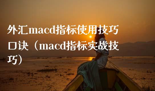 外汇macd指标使用技巧口诀（macd指标实战技巧）_https://cj001.lansai.wang_金融问答_第1张