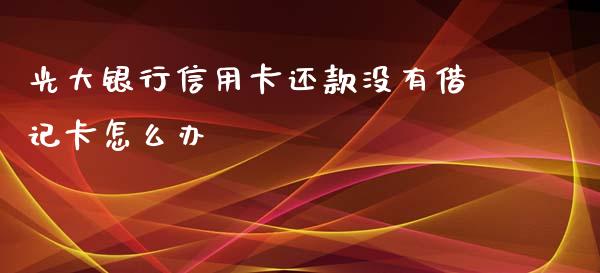 光大银行信用卡还款没有借记卡怎么办_https://cj001.lansai.wang_金融问答_第1张