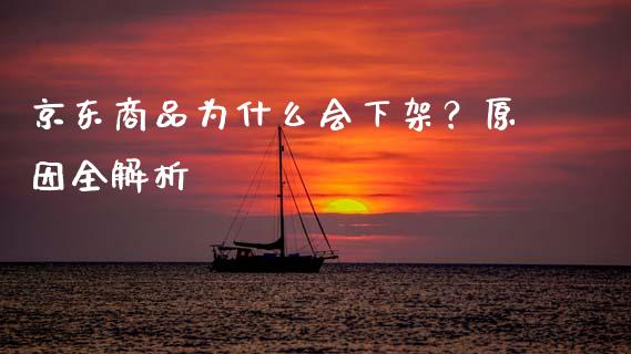 京东商品为什么会下架？原因全解析_https://cj001.lansai.wang_财经问答_第1张