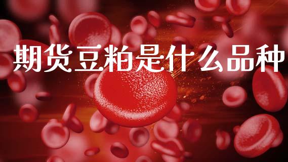 期货豆粕是什么品种_https://cj001.lansai.wang_期货问答_第1张