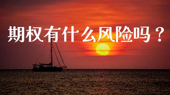 期权有什么风险吗？_https://cj001.lansai.wang_财经问答_第1张