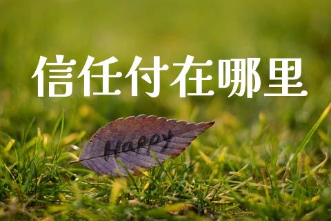 信任付在哪里_https://cj001.lansai.wang_股市问答_第1张
