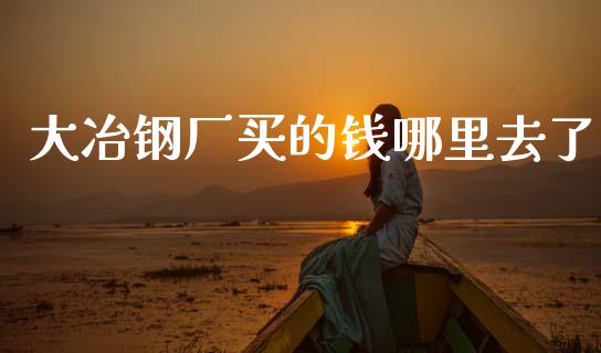 大冶钢厂买的钱哪里去了_https://cj001.lansai.wang_财经百问_第1张