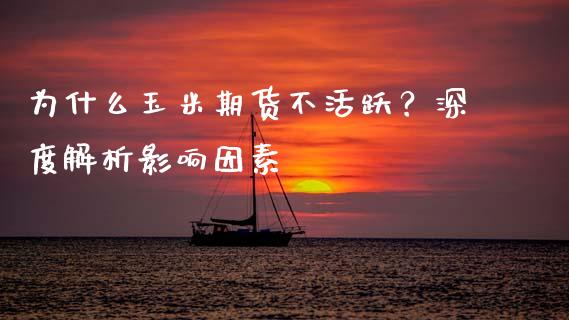 为什么玉米期货不活跃？深度解析影响因素_https://cj001.lansai.wang_保险问答_第1张