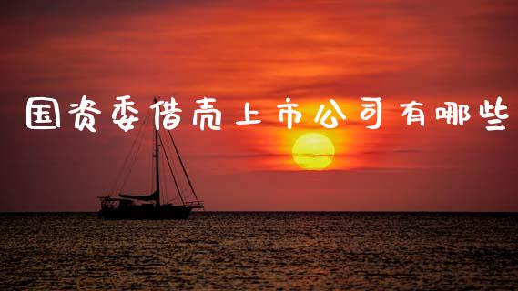 国资委借壳上市公司有哪些_https://cj001.lansai.wang_股市问答_第1张