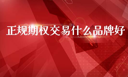 正规期权交易什么品牌好_https://cj001.lansai.wang_理财问答_第1张