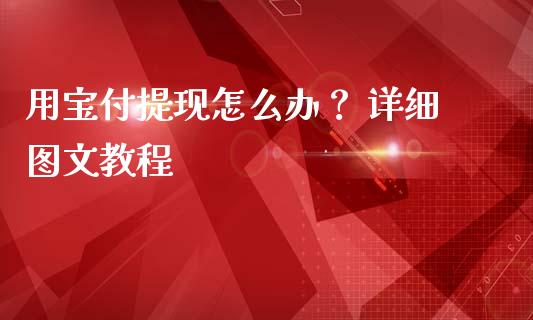 用宝付提现怎么办？ 详细图文教程_https://cj001.lansai.wang_金融问答_第1张