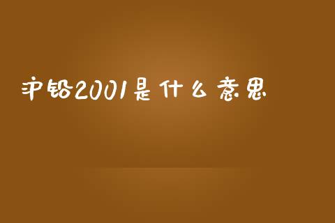 沪铅2001是什么意思_https://cj001.lansai.wang_保险问答_第1张