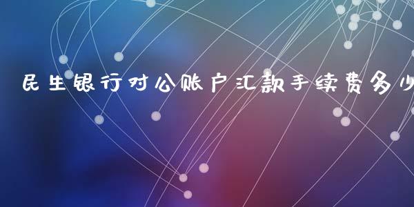 民生银行对公账户汇款手续费多少_https://cj001.lansai.wang_理财问答_第1张