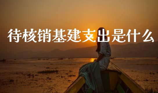 待核销基建支出是什么_https://cj001.lansai.wang_会计问答_第1张